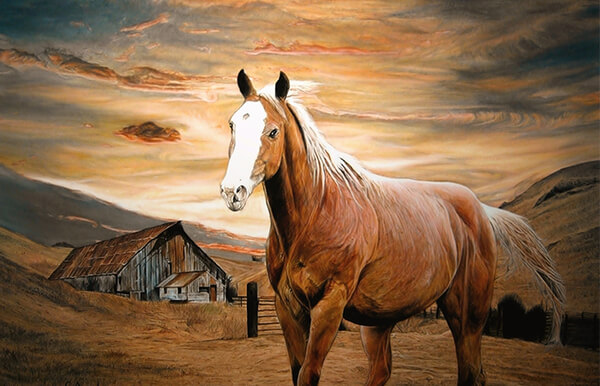 Tử vi tuổi Ngọ 17/4-23/4/2023