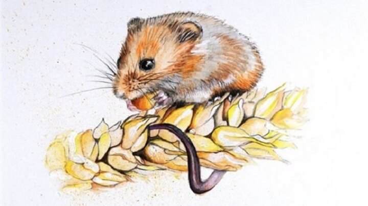 Con số may mắn tuổi Tý ngày 18/4/2023