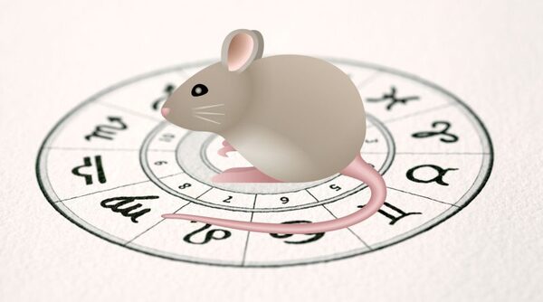 Tử vi ng&agrave;y 23 th&aacute;ng 4 tuổi T&yacute;