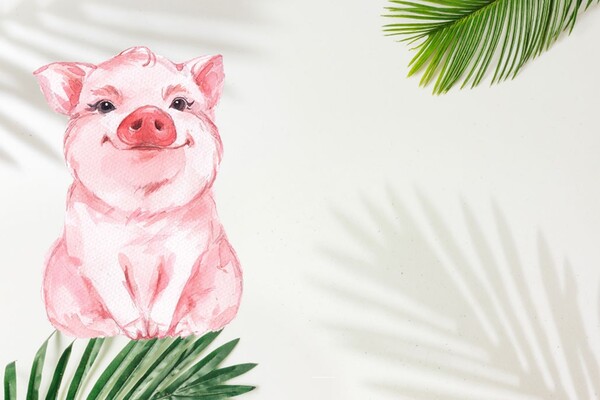 Tử vi ng&agrave;y 24 th&aacute;ng 4 tuổi Hợi