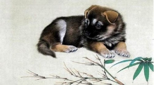 Tử vi ngày 26 tháng 4 tuổi Tuất