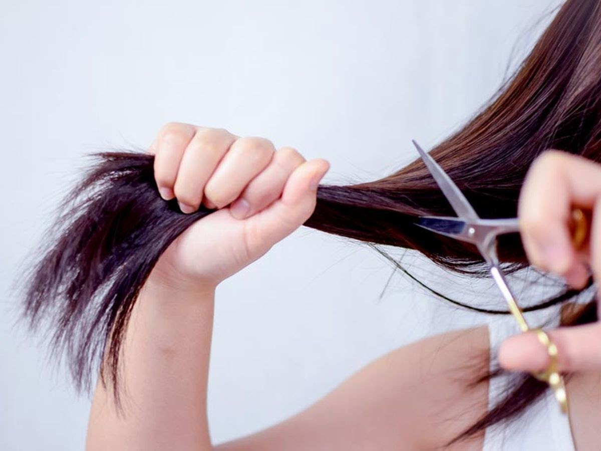 Những ngày nên đi cắt tóc