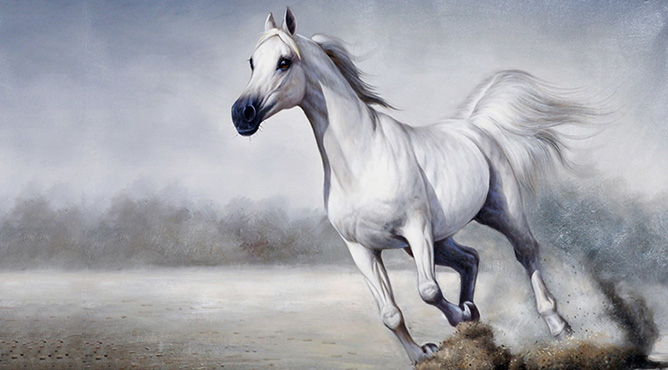 Con số may mắn tuổi Ngọ ng&agrave;y 16/5/2023