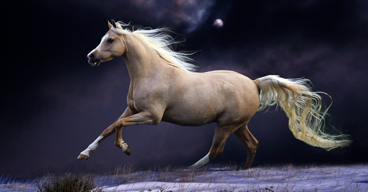 Con số may mắn tuổi Ngọ ng&agrave;y 17/5/2023