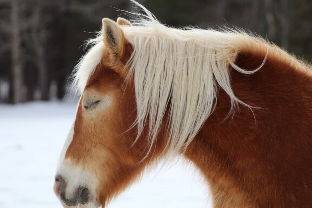 Tử vi ng&agrave;y 18 th&aacute;ng 5 tuổi M&atilde;o