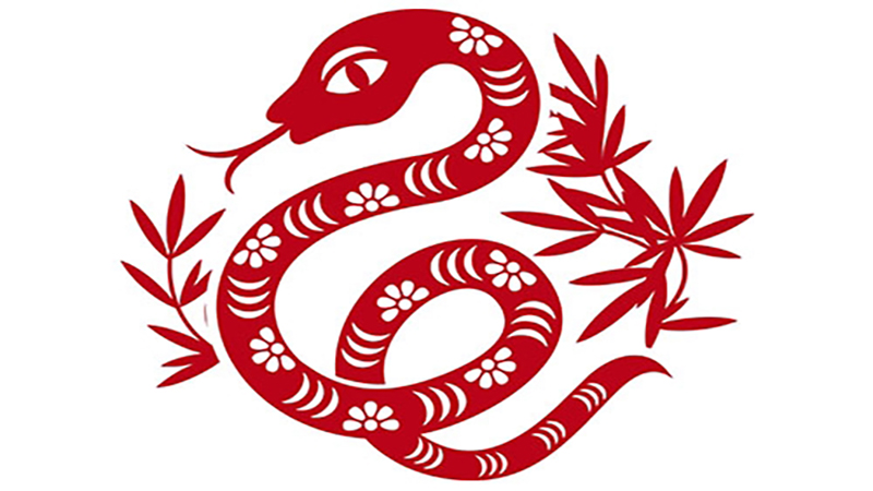 Tử vi tuần mới tuổi Tỵ 22/5 - 28/5