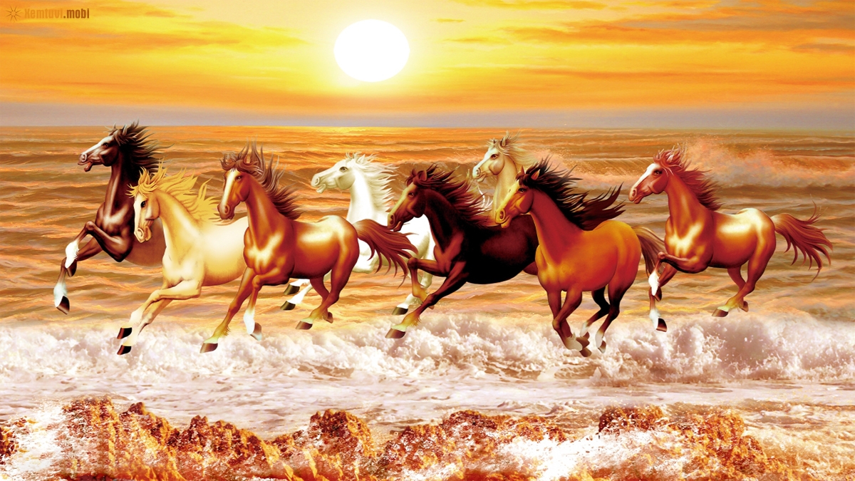 Tử vi ng&agrave;y 21 th&aacute;ng 5 tuổi Ngọ