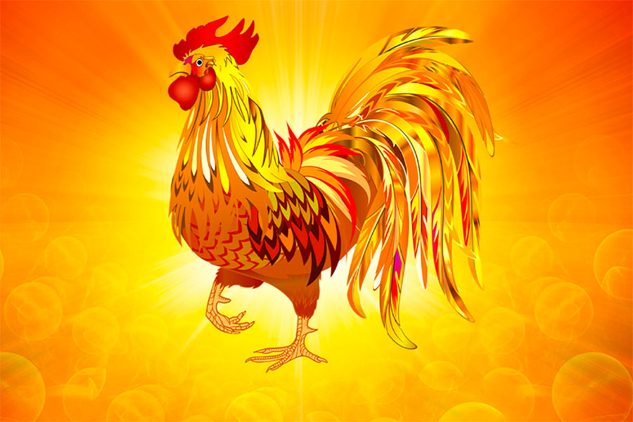 Con số may mắn tuổi Dậu ng&agrave;y 24/5/2023