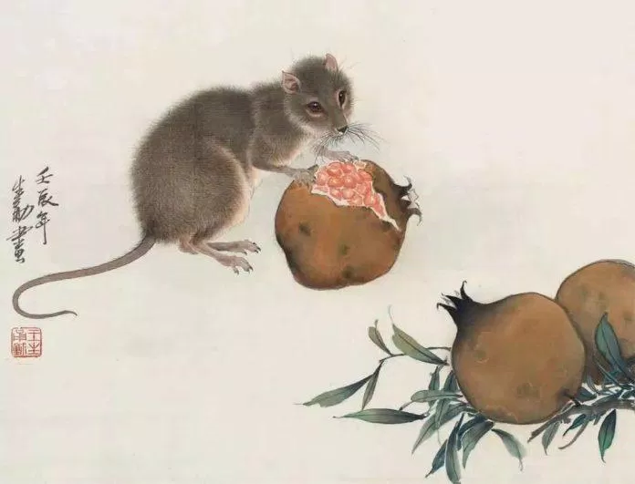 Tử vi ngày 26 tháng 5 tuổi Tý