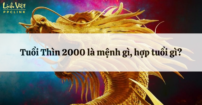 Tính cách và sự nghiệp của người mang mệnh mệnh 2000 là mệnh gì trong phong thủy