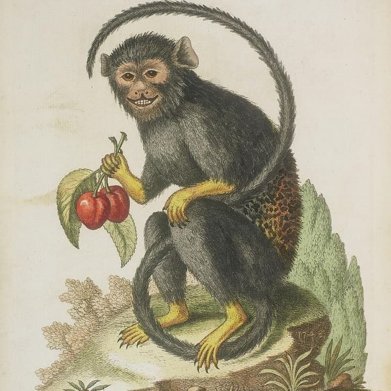 Tử vi ng&agrave;y 4 th&aacute;ng 6 tuổi Th&acirc;n