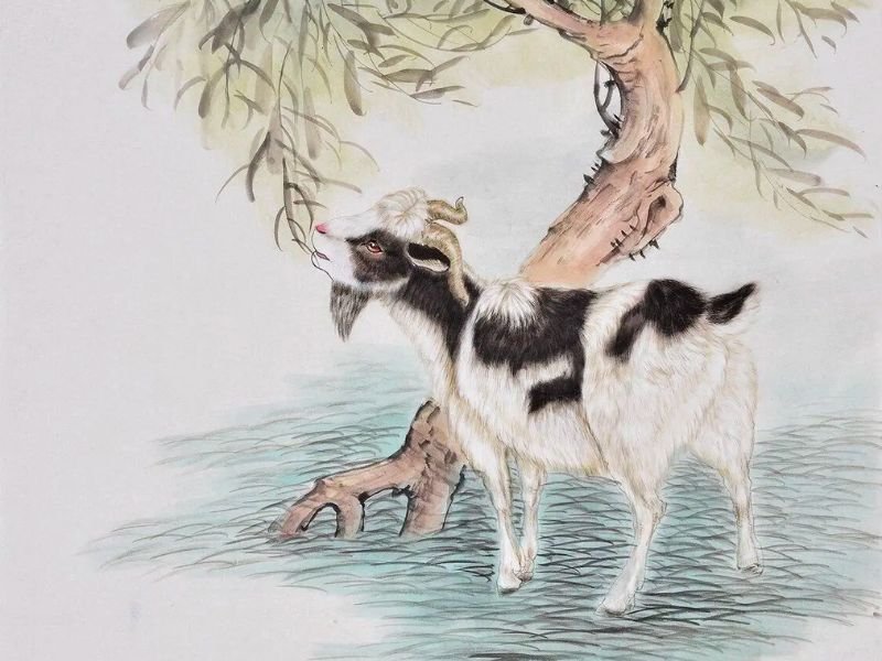 Tử vi ng&agrave;y 6 th&aacute;ng 6 tuổi M&ugrave;i