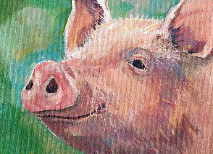 Con số may mắn tuổi Hợi ng&agrave;y 11/6/2023