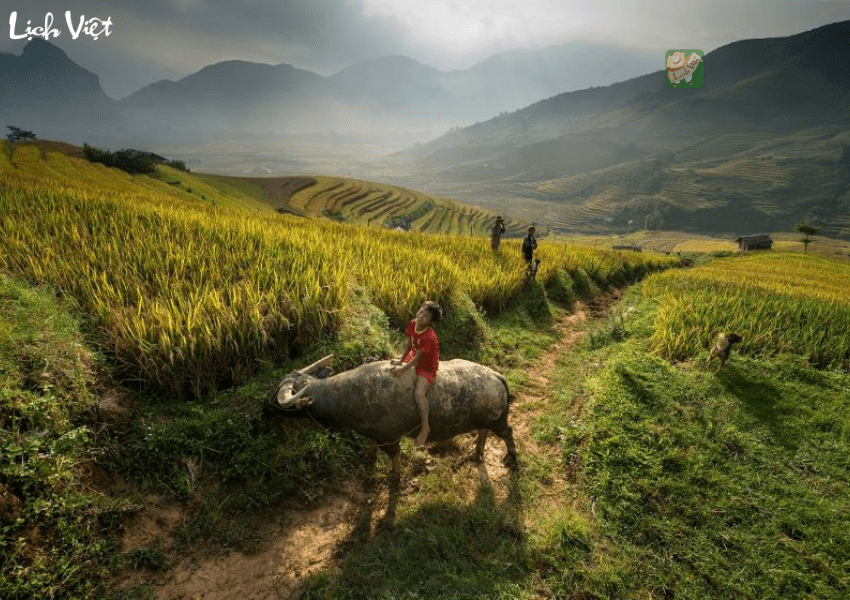 Con số may mắn tuổi Sửu ng&agrave;y 4/1/2024