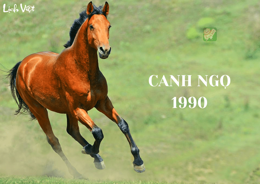 Tử vi tuổi Canh Ngọ (1990) năm 2024