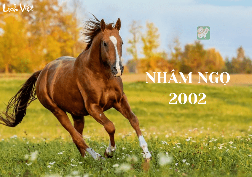 Tử vi tuổi Nhâm Ngọ (2002) năm 2024