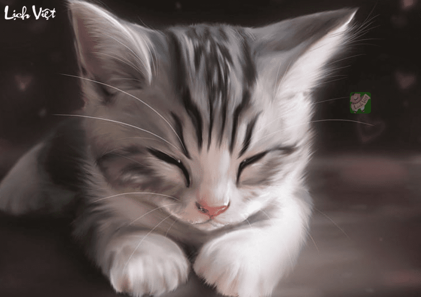 Tử vi tuổi M&atilde;o tuần mới 5/2 - 11/2/2024