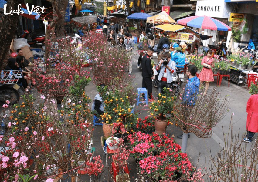 Chơi hoa dịp Tết