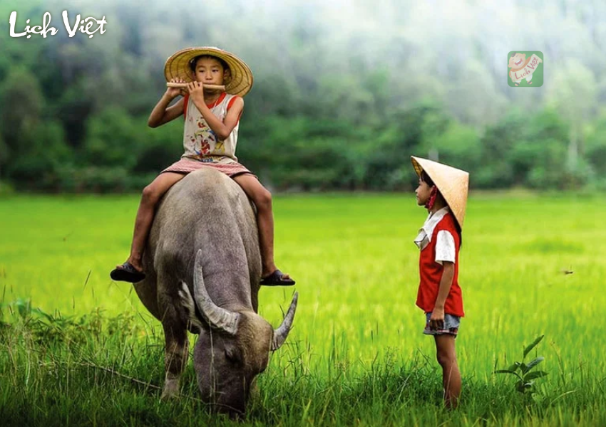 Ngày giờ đẹp bao sái bàn thờ cho các tuổi Sửu năm 2024