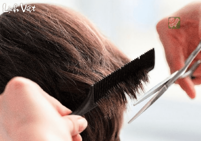 Thời điểm bạn không nên cắt tóc - trước ngày thi