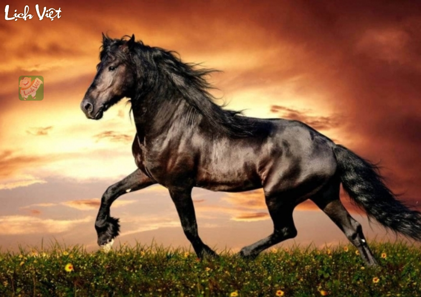 Tử vi tuổi Ngọ ng&agrave;y 6/2/2024