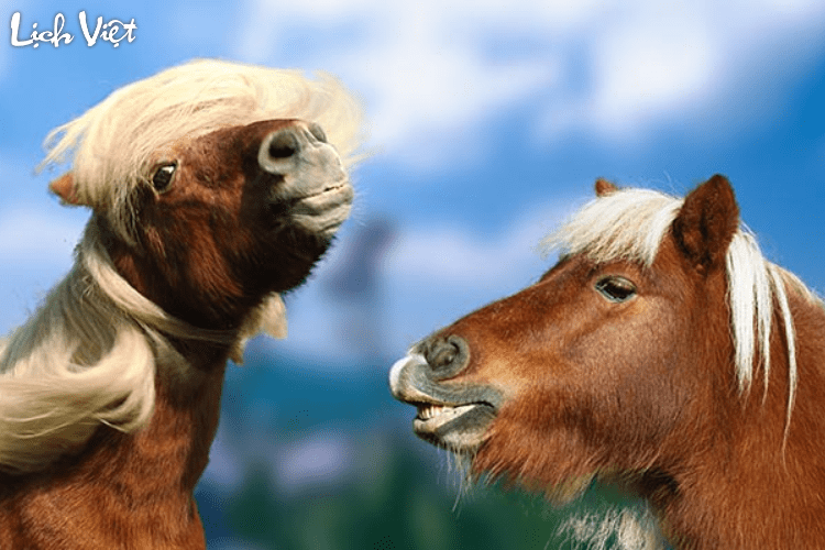 Con số may mắn tuổi Ngọ ng&agrave;y 2/3/2024