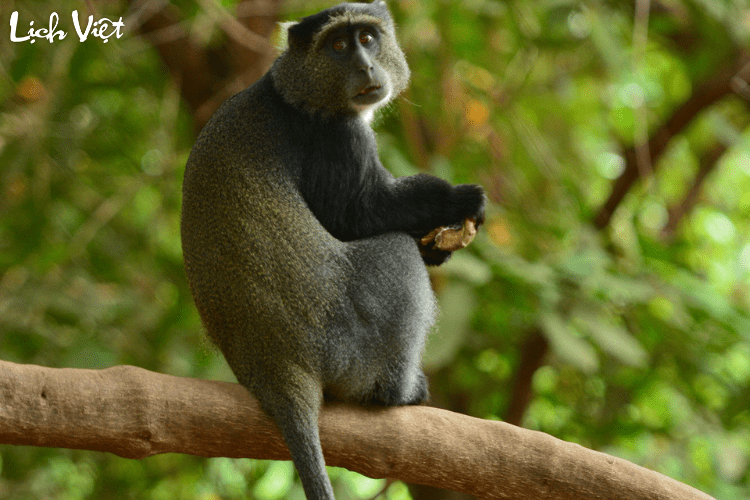 Tử vi tuổi Th&acirc;n 4/3/2024