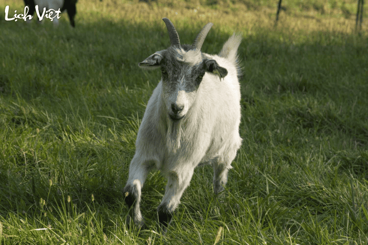 Con số may mắn tuổi M&ugrave;i ng&agrave;y 8/3/2024