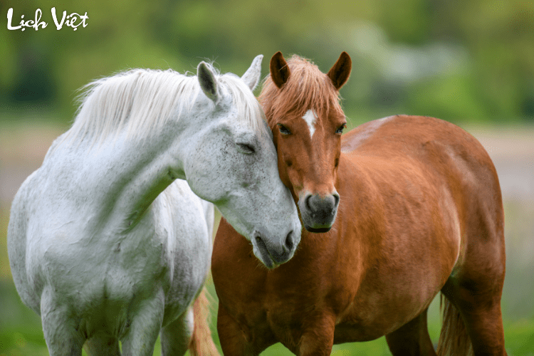 Con số may mắn tuổi Ngọ ng&agrave;y 30/3/2024