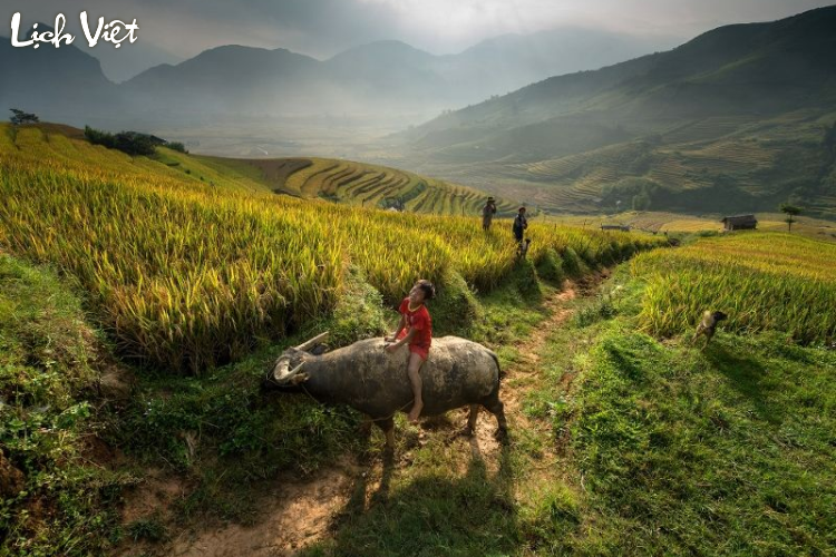 Tử vi tuổi Sửu 27/3/2024