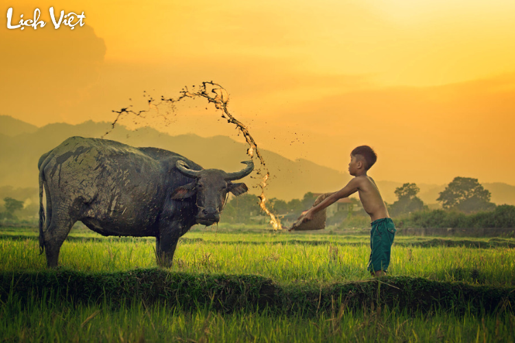 Tử vi tuổi Sửu 30/3/2024