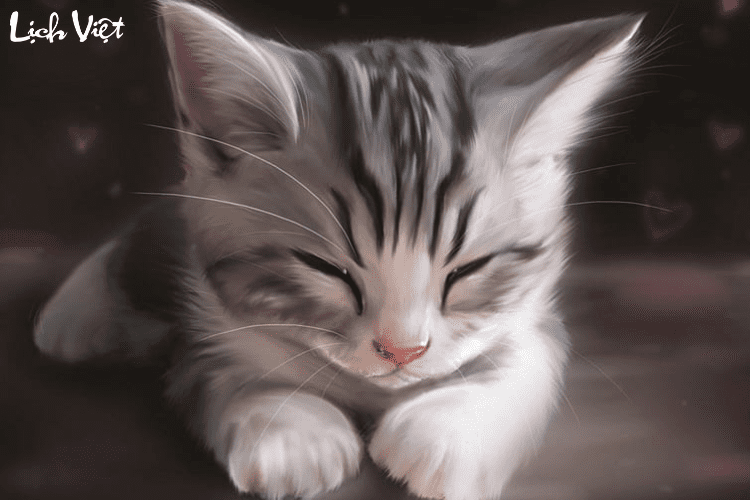 Tử vi tuổi M&atilde;o 13/4/2024