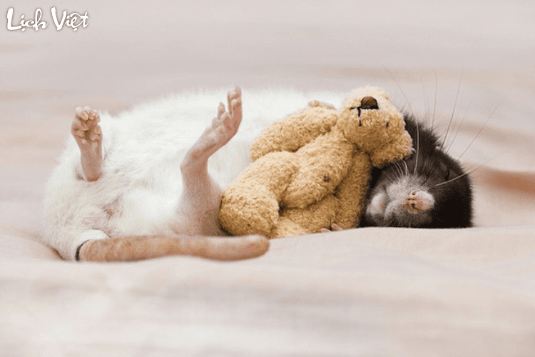  Theo vận tr&igrave;nh tử vi ng&agrave;y Thứ Năm, ng&agrave;y 28/03/2024, tuổi Hợi c&oacute; thể dễ gặp phải căng thẳng từ những vấn đề nhỏ trong cuộc sống. &Aacute;p lực từ những cảm x&uacute;c ti&ecirc;u cực li&ecirc;n tục t&iacute;ch tụ c&oacute; thể khiến tuổi Hợi trở n&ecirc;n kh&oacute; kiểm so&aacute;t bản th&acirc;n, dễ nổi n&oacute;ng hoặc c&aacute;u gắt v&igrave; những việc kh&ocirc;ng đ&aacute;ng bận t&acirc;m.  Để vượt qua những cảm x&uacute;c n&agrave;y, tuổi Hợi cần học c&aacute;ch kiểm so&aacute;t bản th&acirc;n cả trong c&ocirc;ng việc lẫn cuộc sống h&agrave;ng ng&agrave;y. Điều n&agrave;y gi&uacute;p mọi thứ diễn ra su&ocirc;n sẻ hơn, bất kể ho&agrave;n cảnh n&agrave;o. Đồng thời, đ&acirc;y cũng l&agrave; nguy&ecirc;n nh&acirc;n khiến sức khỏe của họ trở n&ecirc;n tồi tệ hơn. H&atilde;y d&agrave;nh thời gian để thư gi&atilde;n v&agrave; gi&uacute;p cơ thể hồi phục, thay v&igrave; chỉ mải m&ecirc; theo đuổi tham vọng.