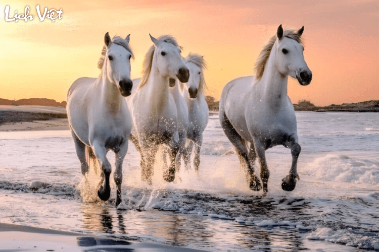 Con số may mắn tuổi Ngọ ngày 3/5/2024