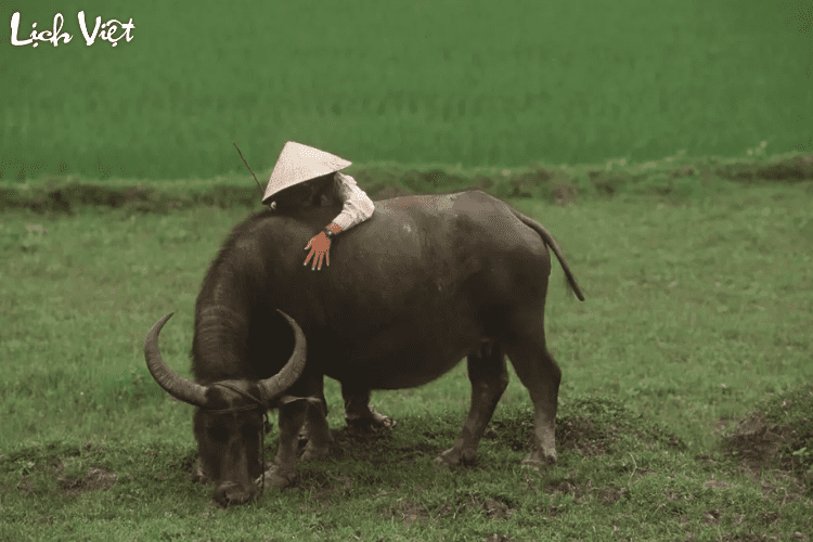 Tử vi tuổi Sửu 13/5 - 19/5/2024