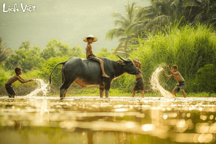 Tử vi tuổi Sửu 15/5/2024