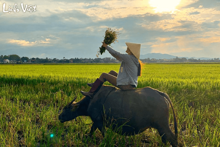 Tử vi tuổi Sửu 17/5/2024