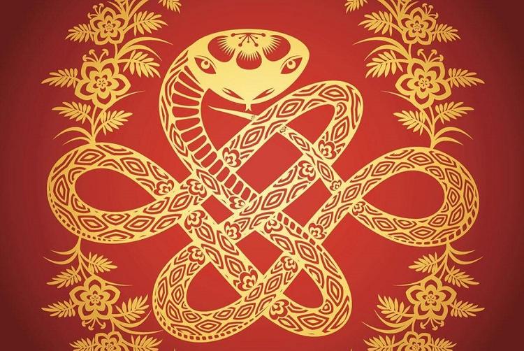 Quý Tỵ