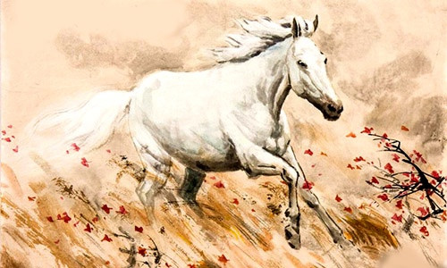 Tử vi tuổi Dần