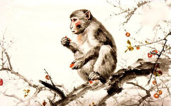 Tử vi tuổi Thân