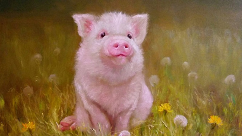 Tử vi tuổi Hợi