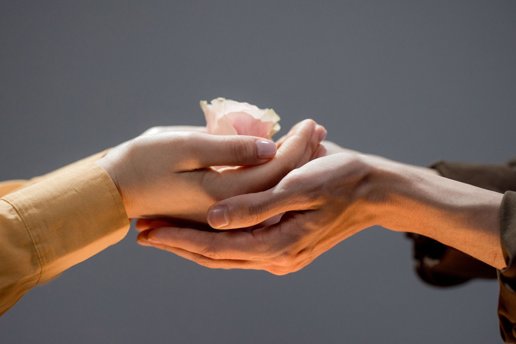 L&agrave;m việc thiện