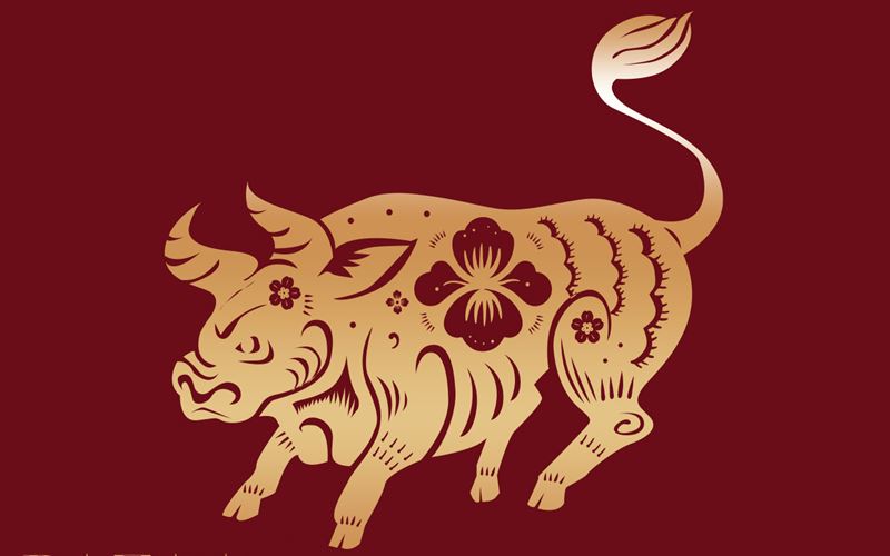 Tuổi Sửu