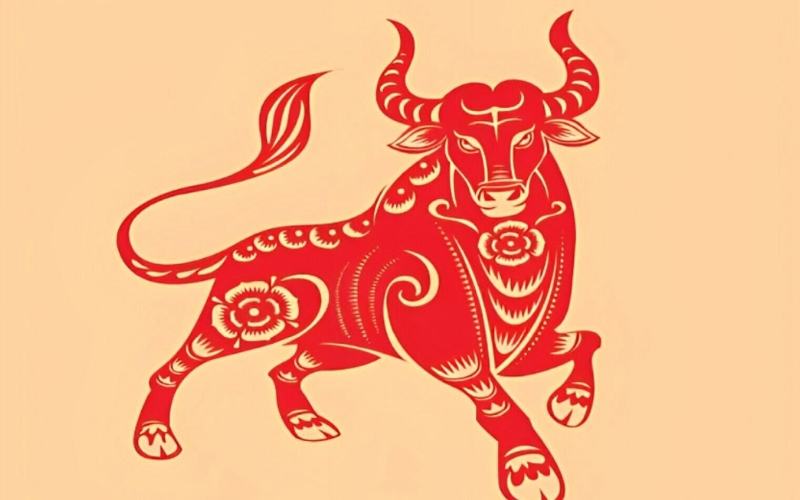 Tuổi Sửu