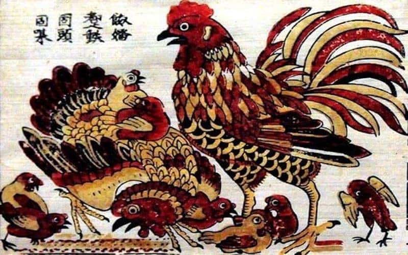 Tử vi tuổi Dậu