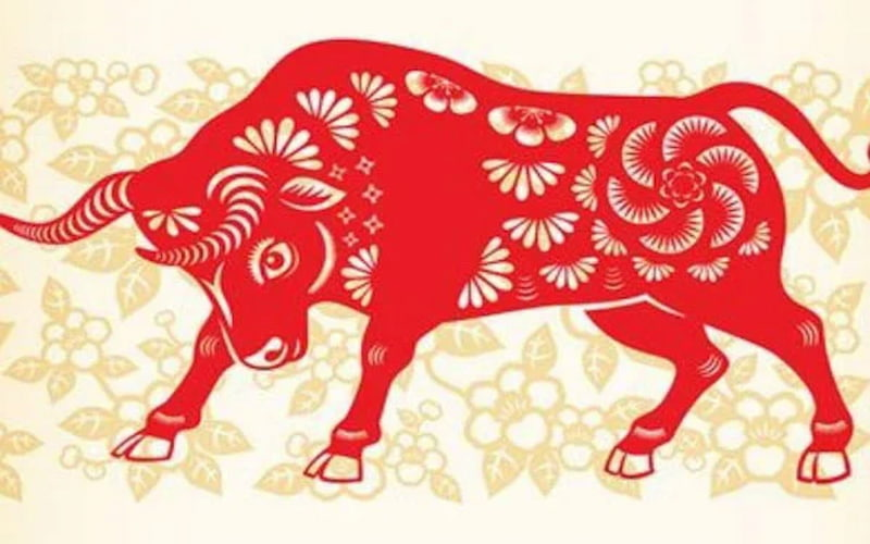 Tuổi Sửu